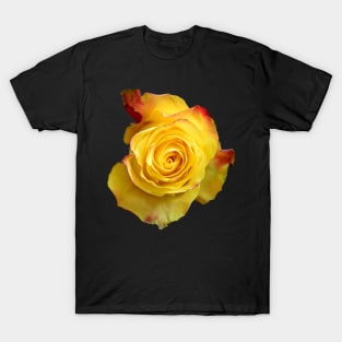 Yellow Rose T-Shirt